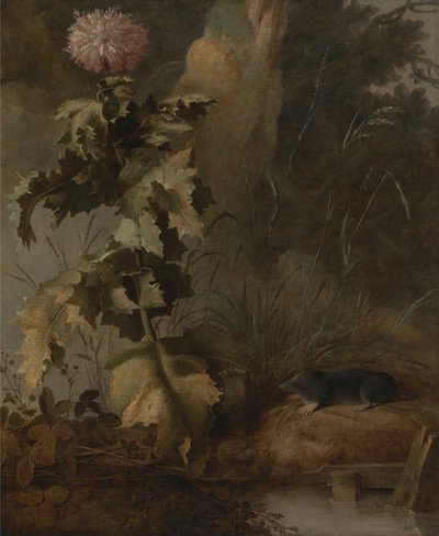 An Egyptian Poppy and a Water Mole by John Crome